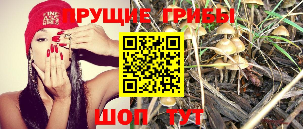 Псилоцибиновые грибы мухоморы Заречный